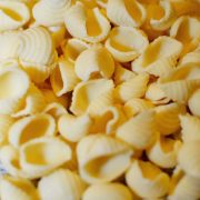 medium fresh conchiglie pasta