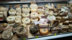 A refrigerator case with a selection of Italian cheeses